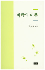 바람의 아픔