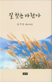길 찾는 바람아