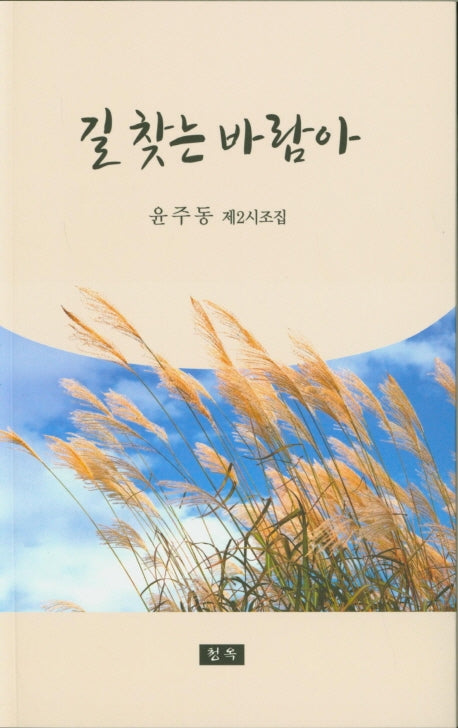 길 찾는 바람아