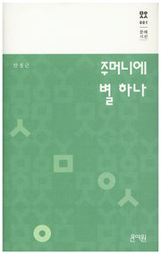 주머니에 별 하나(문예시선 1)(양장본 HardCover)