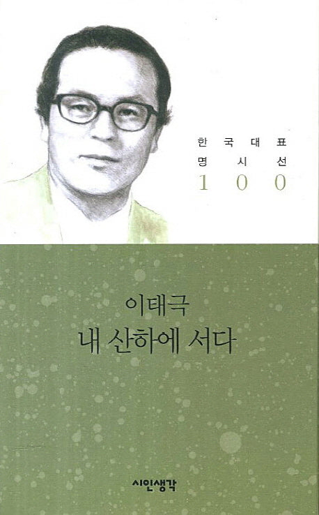 내 산하에 서다(한국대표 명시선 100)