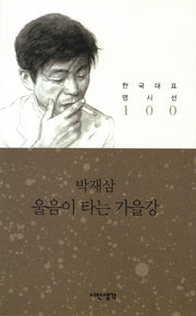 울음이 타는 가을강(한국대표 명시선 100)