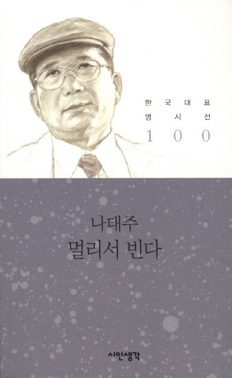 멀리서 빈다(한국대표 명시선 100)