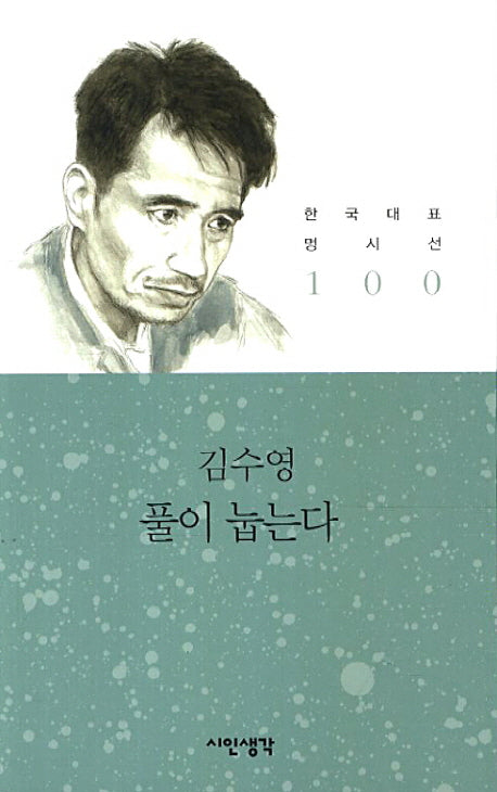 풀이 눕는다(한국대표 명시선 100)