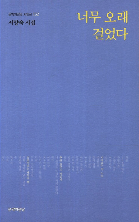 너무 오래 걸었다(문학의전당 시인선 132)