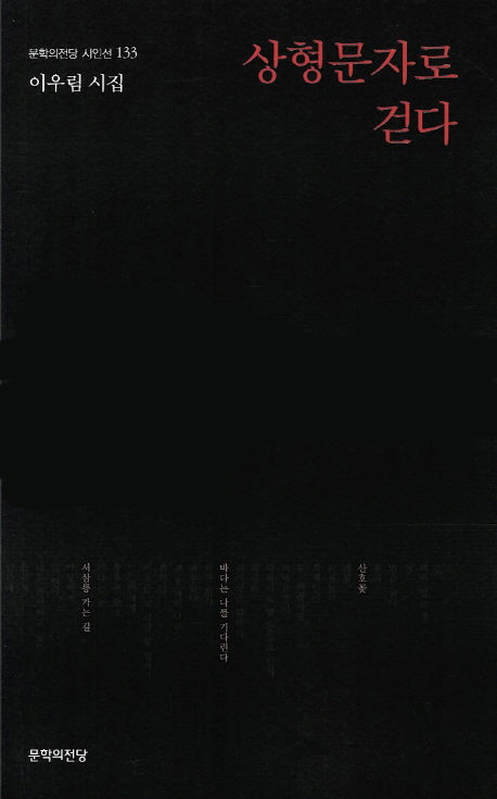 상형문자로 걷다(문학의전당 시인선 133)