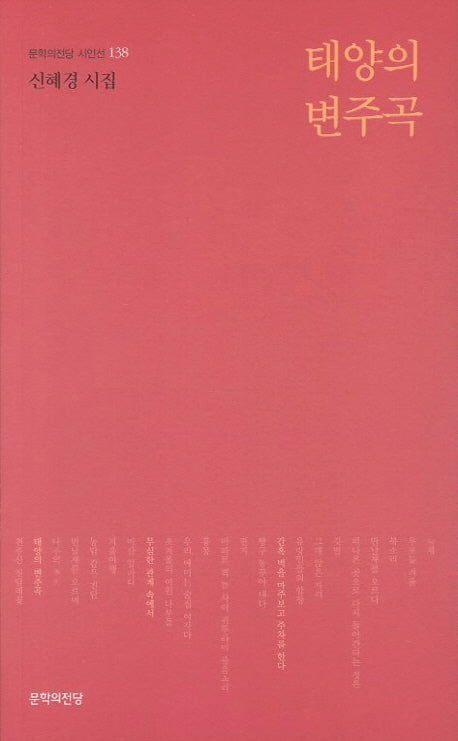 태양의 변주곡(문학의전당 시인선 138)