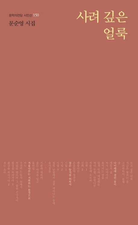 사려 깊은 얼룩(문학의전당 시인선 150)