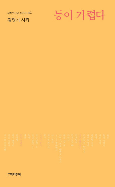 등이 가렵다(문학의전당 시인선 167)