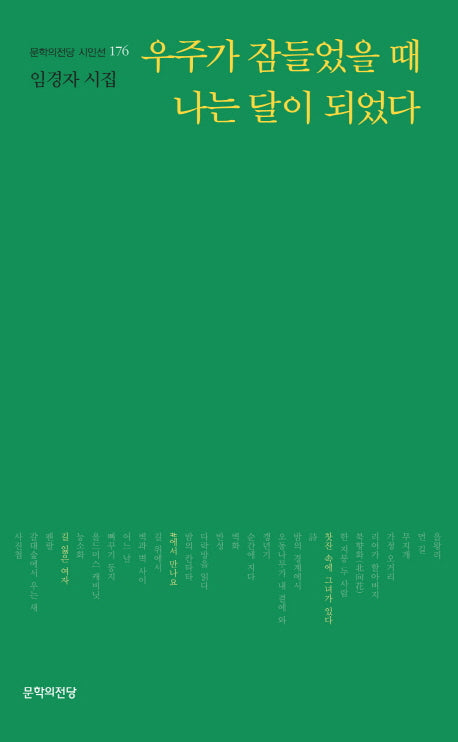 우주가 잠들었을 때 나는 달이 되었다(문학의전당 시인선 176)