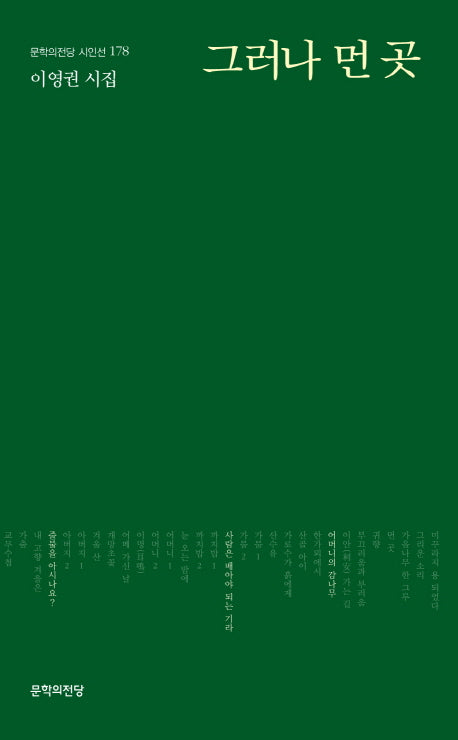 그러나 먼 곳(문학의전당 시인선 178)