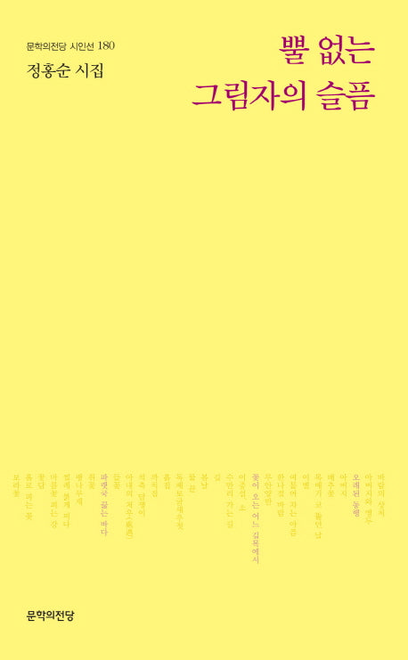 뿔 없는 그림자의 슬픔(문학의전당 시인선 180)