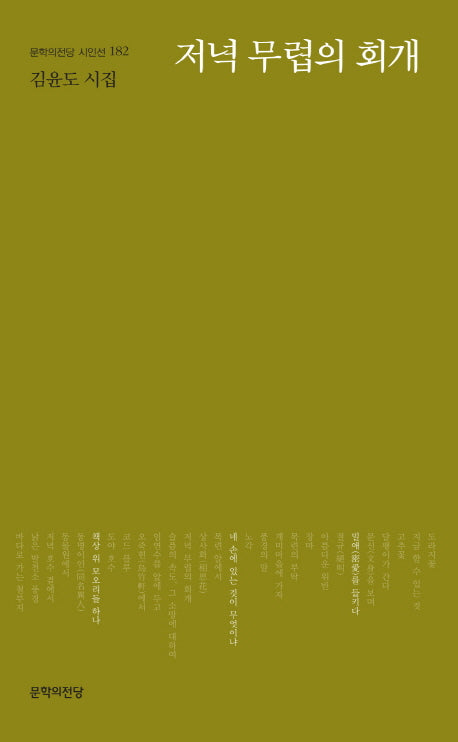 저녁 무렵의 회개(문학의전당 시인선 182)