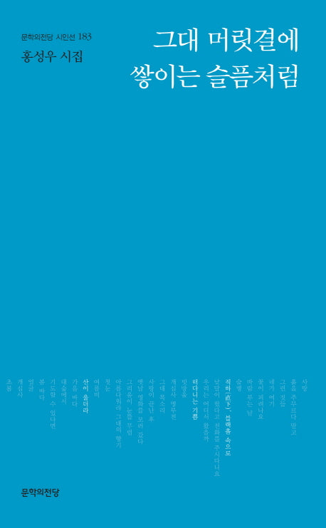 그대 머릿결에 쌓이는 슬픔처럼(문학의전당 시인선 183)