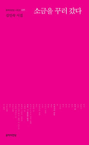 소금을 꾸러 갔다(문학의전당 시인선 185)