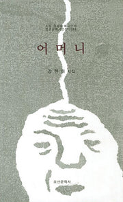 어머니(지성 감성의 메타언어 조선문학시인선 333)