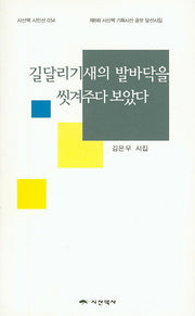 길달리기새의 발바닥을 씻겨주다 보았다(시산맥 시인선 34)