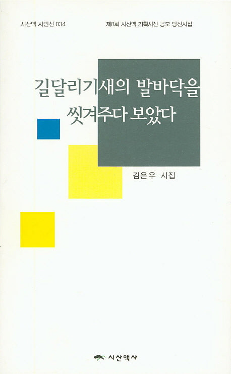 길달리기새의 발바닥을 씻겨주다 보았다(시산맥 시인선 34)