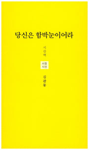 당신은 함박눈이어라(시산맥 서정시선 25)