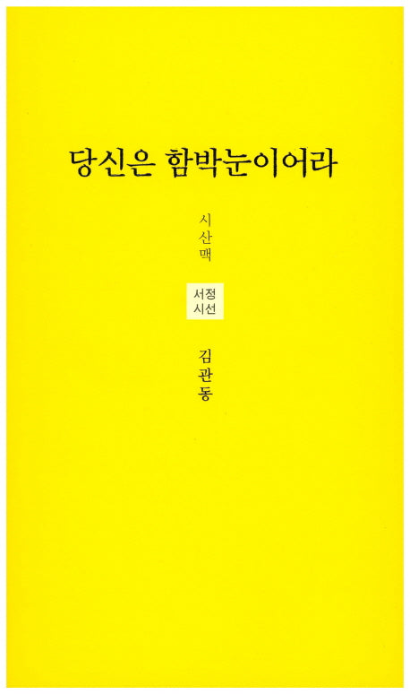 당신은 함박눈이어라(시산맥 서정시선 25)