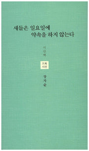 새들은 일요일에 약속을 하지 않는다(시산맥 기획시선 39)