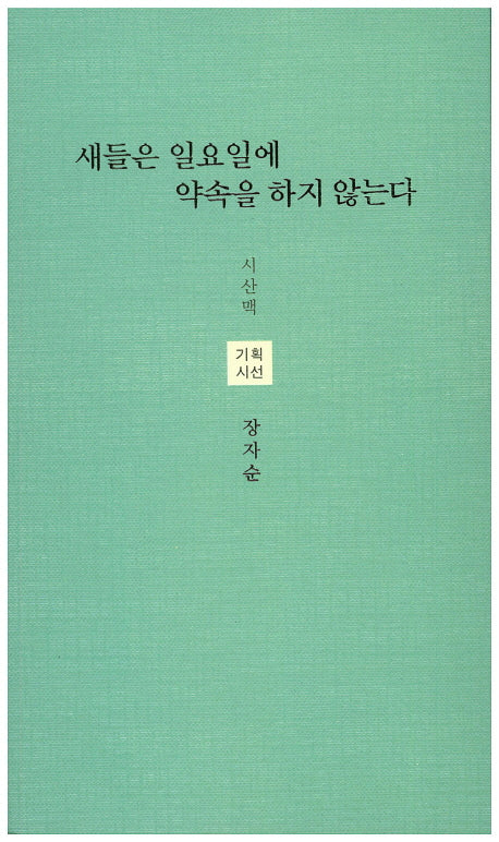 새들은 일요일에 약속을 하지 않는다(시산맥 기획시선 39)