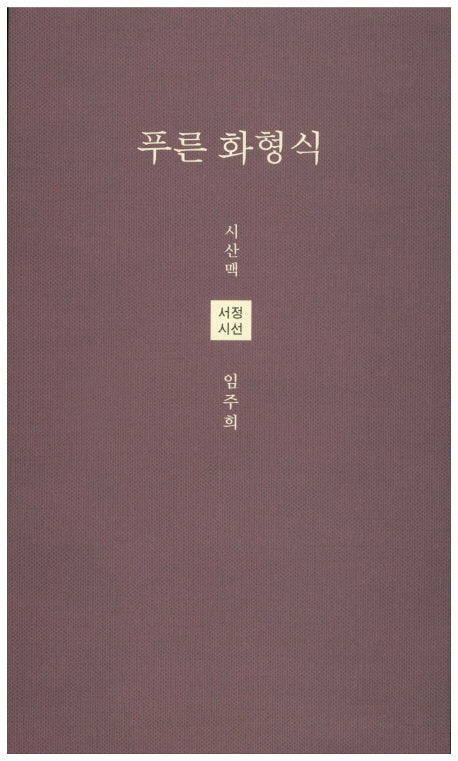 푸른 화형식(시산맥 서정시선 33)