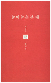 눈이 눈을 볼 때(시산맥 서정시선 35)