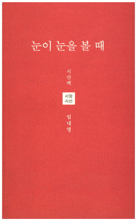 눈이 눈을 볼 때(시산맥 서정시선 35)