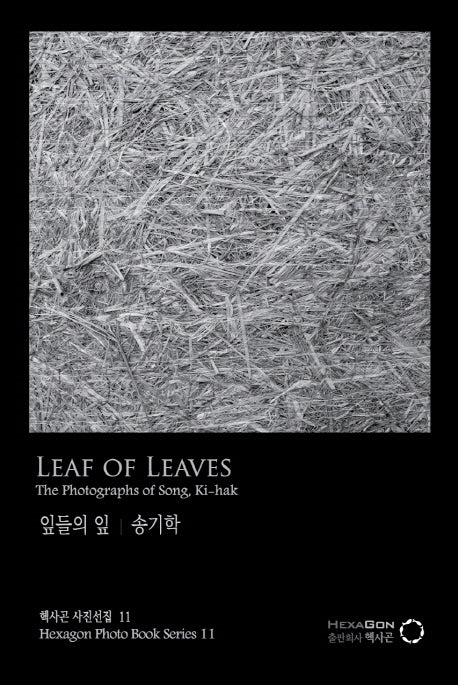 잎들의 잎(Leaf of Leaves)(헥사곤 사진선집 11)