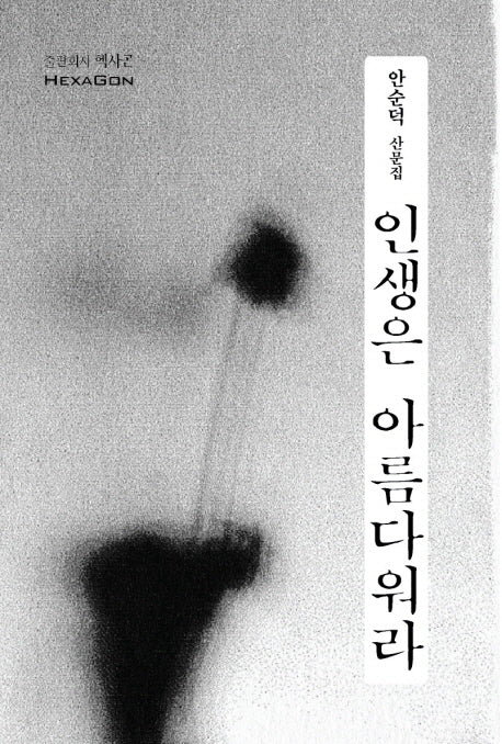 인생은 아름다워라