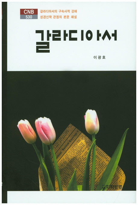 갈라디아서(CNB 530)(양장본 Hardcover)