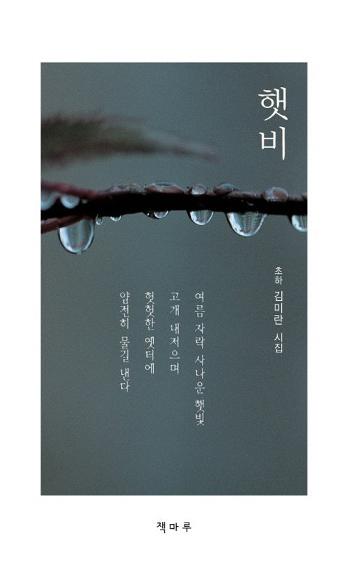 햇비