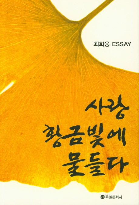 사랑 황금빛에 물들다