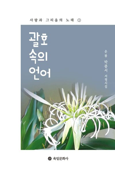 괄호 속의 언어