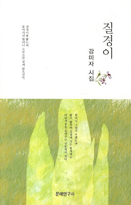 질경이
