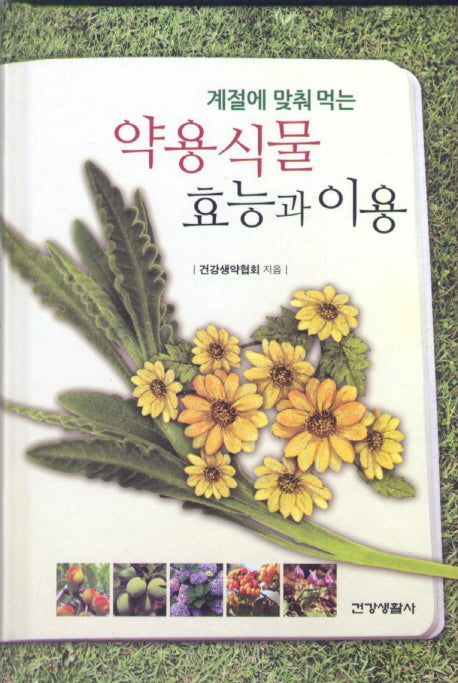 계절에 맞춰 먹는 약용식물 효능과 이용(양장본 Hardcover)