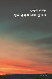 빛과 은총의 나래 안에서
