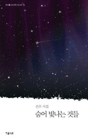 숨어 빛나는 것들(이룸나무 시선집 15)
