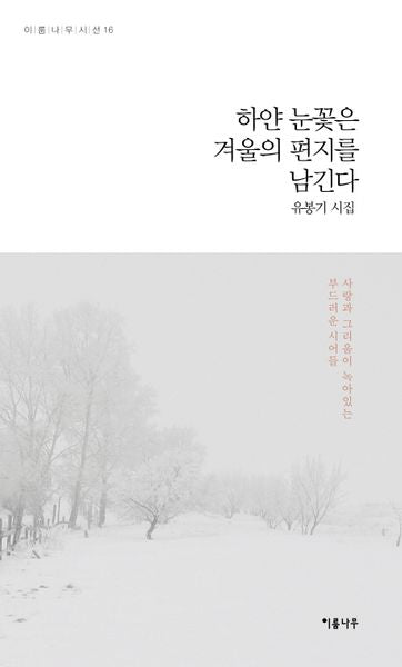 하얀 눈꽃은 겨울의 편지를 남긴다(이룸나무 시선집 16)