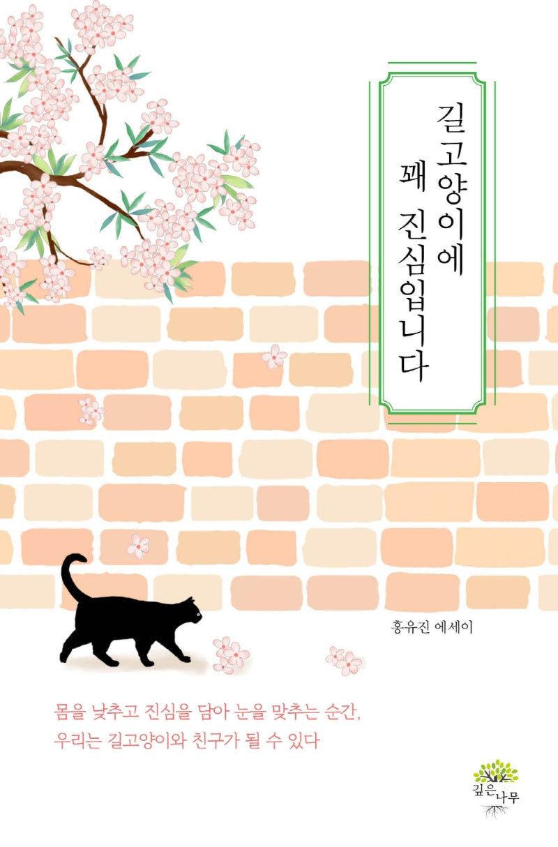 길고양이에 꽤 진심입니다