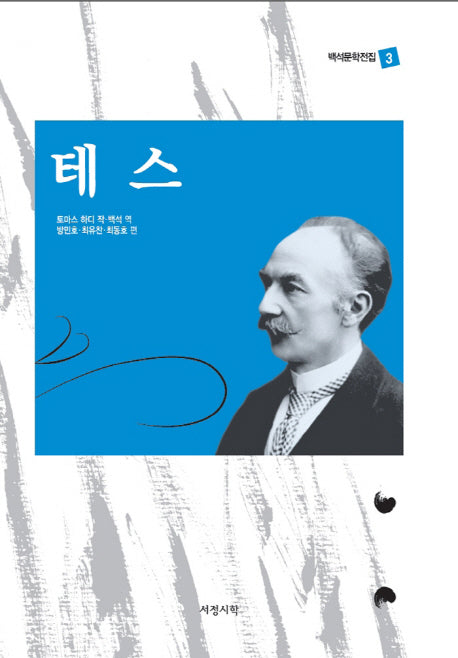 테스(백석문학전집 3)(양장본 Hardcover)