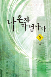 나 혼자 마법사다 5(완결)