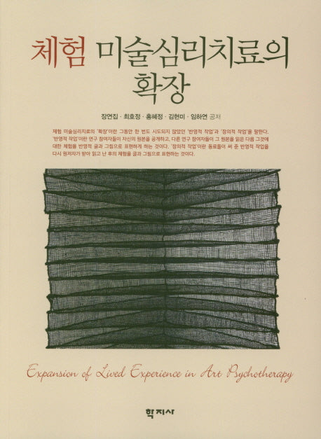 체험 미술심리치료의 확장