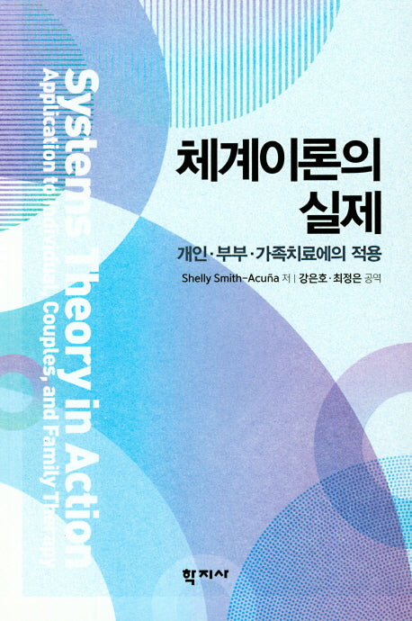 체계이론의 실제