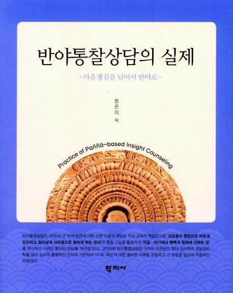 반야통찰상담의 실제