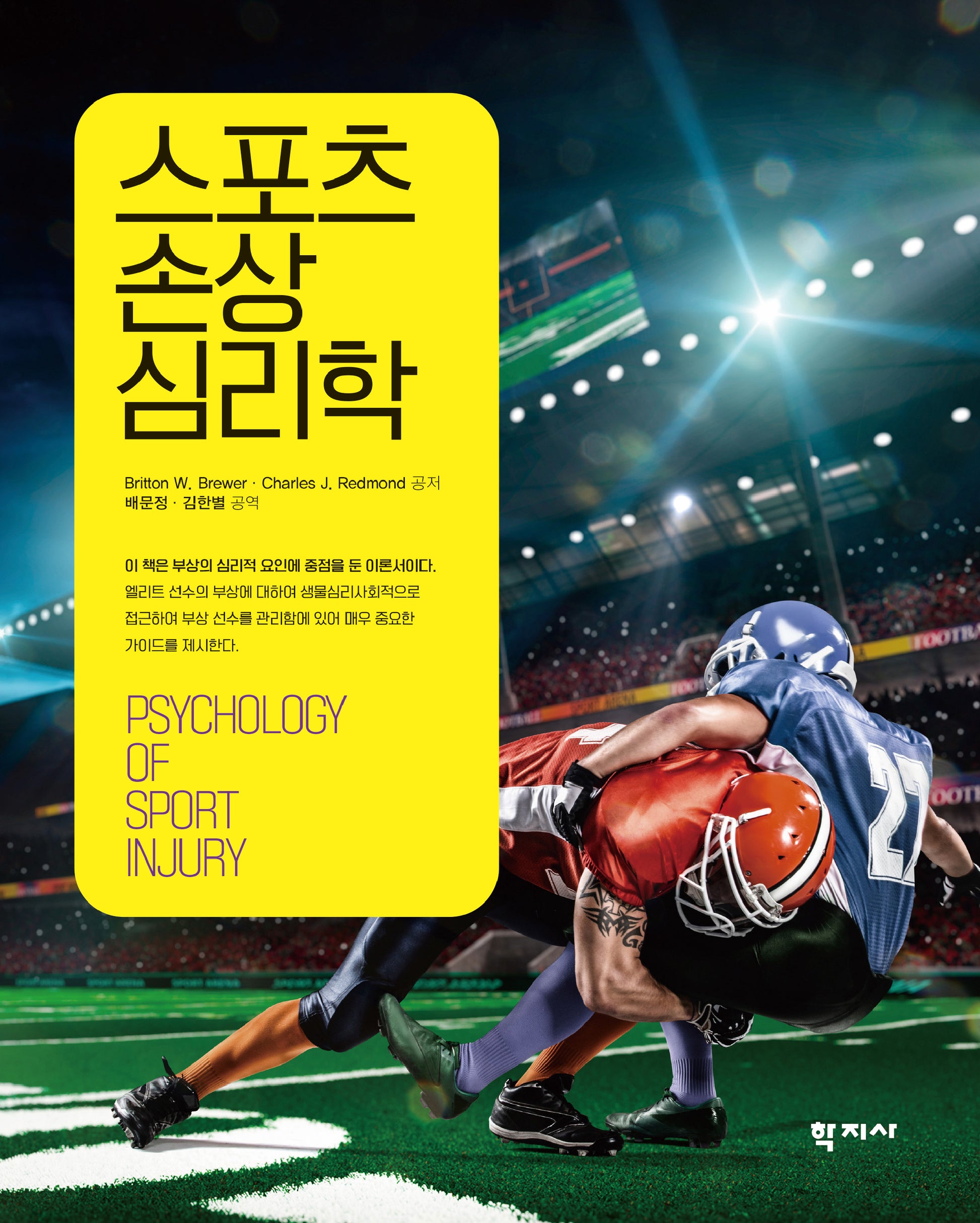 스포츠 손상 심리학
