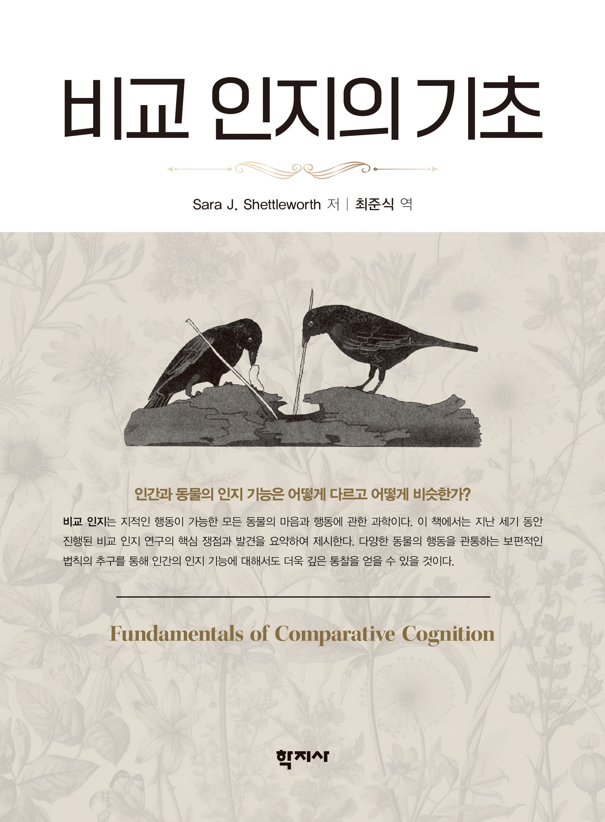 비교 인지의 기초