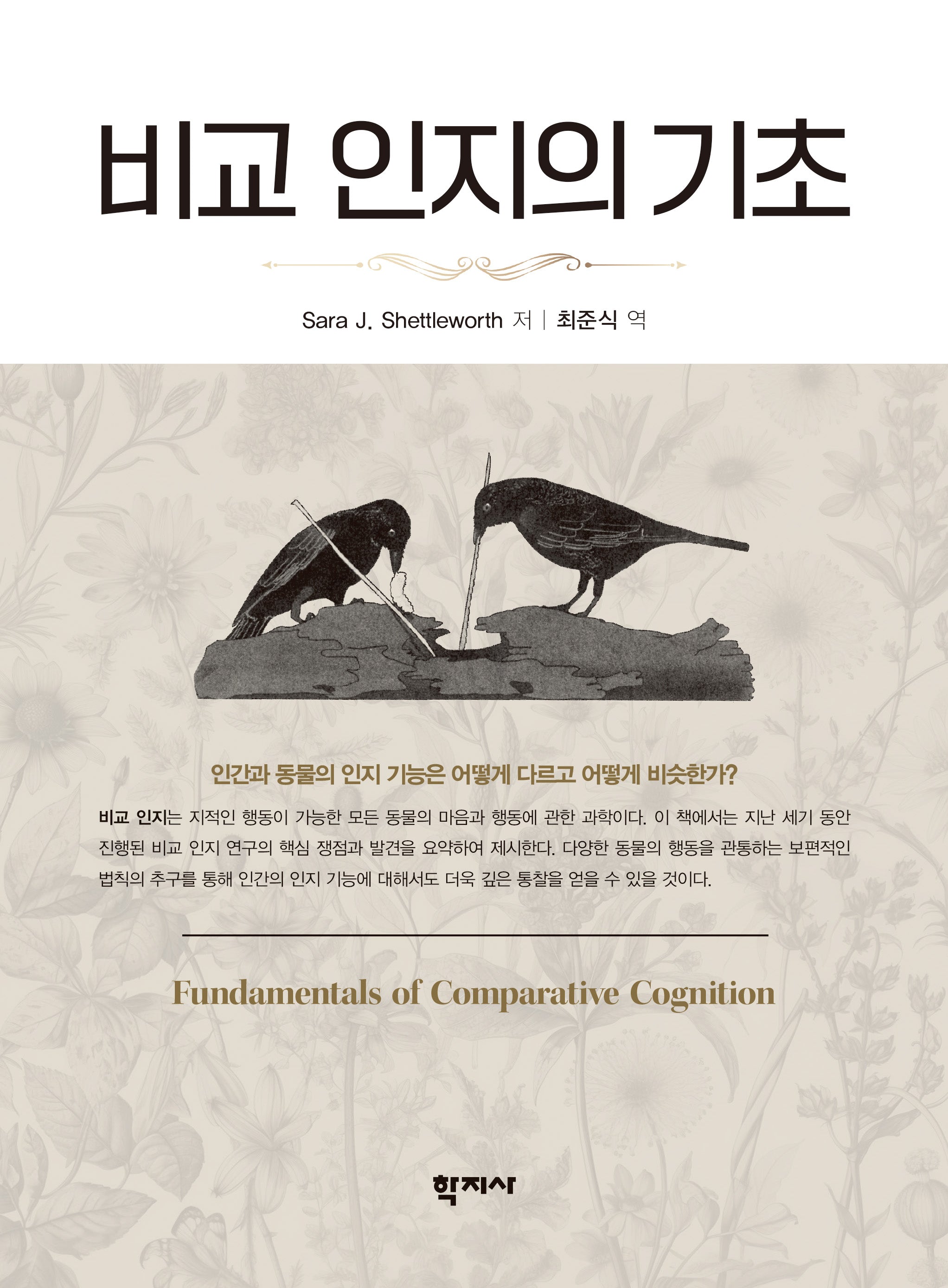 비교 인지의 기초