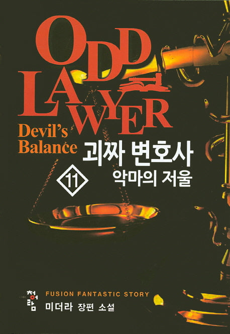 괴짜 변호사 11